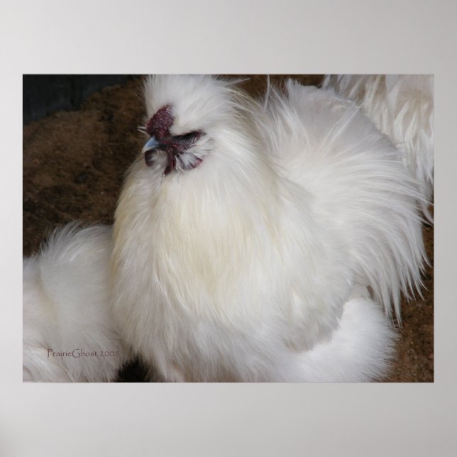 Fluffy Chicken 2 Poster (Front)
