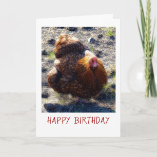 Fluffy chicken Birthday Card