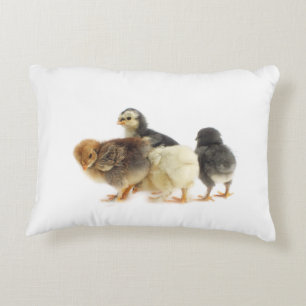 fluffy chicks decorative cushion