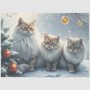 Fluffy Christmas Cats Tissue Paper