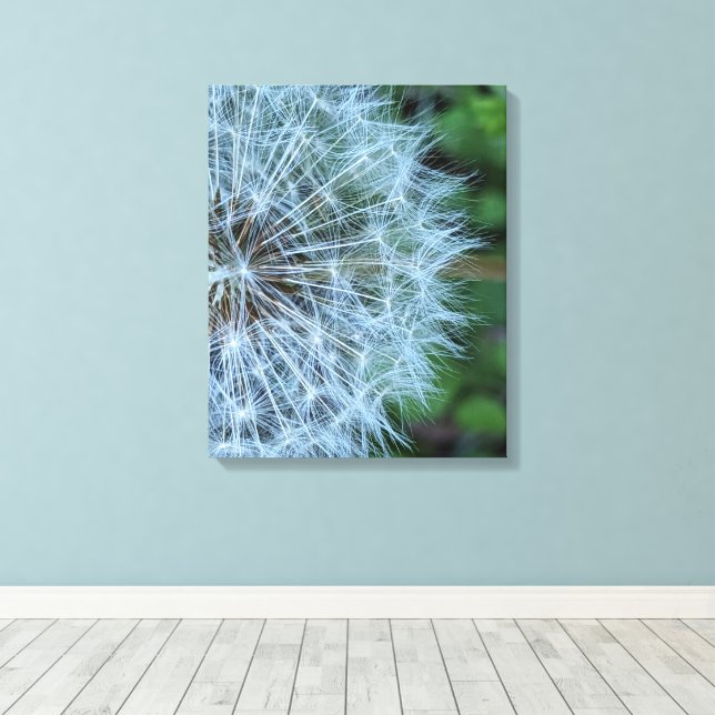 Fluffy Dandelion Seed Head Photo Canvas Print (Insitu(Wood Floor))