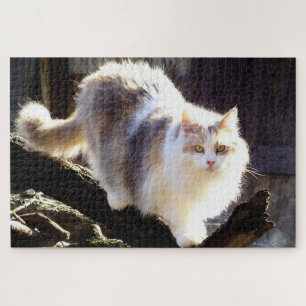 Fluffy Dilute Calico Maine Coon Cat Jigsaw Puzzle