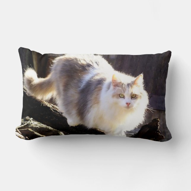 Fluffy Dilute Calico Maine Coon Cat Lumbar Cushion (Front)