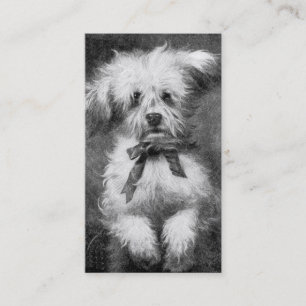 Fluffy Dog Business Card