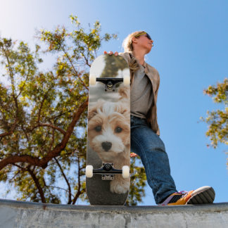 Fluffy Dog Cream and White Skateboard
