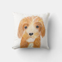 fluffy Dog