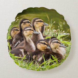 Fluffy Ducklings Round Cushion