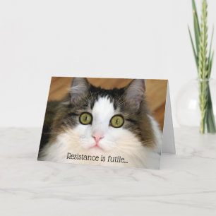 Fluffy Face Valentine Cat Holiday Card
