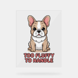 Fluffy French Bulldog Too Fluffy to Handle Acrylic Sign