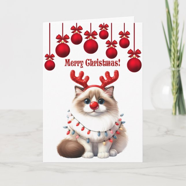 Fluffy Funny Cat Christmas  Card (Front)