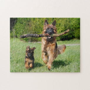 Fluffy German Shepherd Dog and Puppy Jigsaw Puzzle