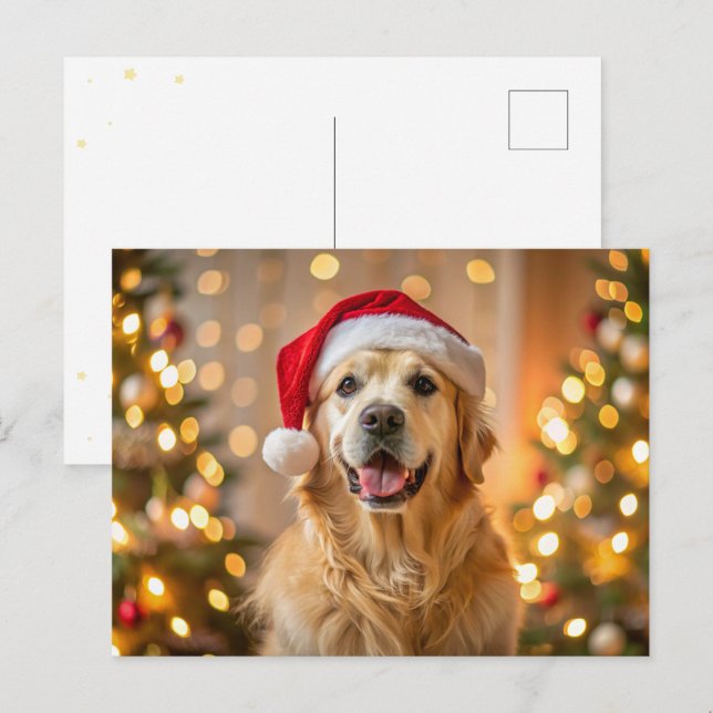 Fluffy golden retriever wearing a red Santa hat Holiday Postcard (Front/Back)