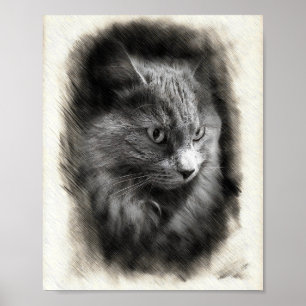Fluffy Gray Cat Sketch - Soft Feline Portrait Art Poster