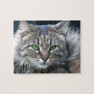 Fluffy Green-Eyed Tiger Kitty Cat Jigsaw Puzzle