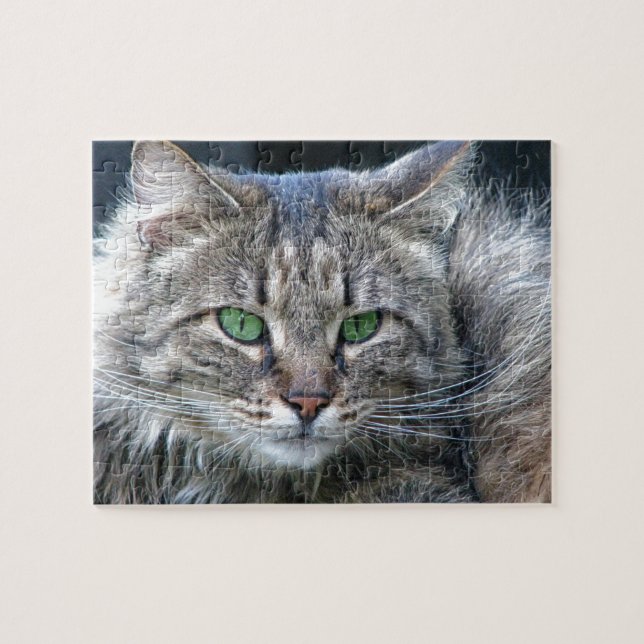 Fluffy Green-Eyed Tiger Kitty Cat Jigsaw Puzzle (Horizontal)
