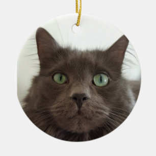Fluffy Grey cat Ceramic Tree Decoration
