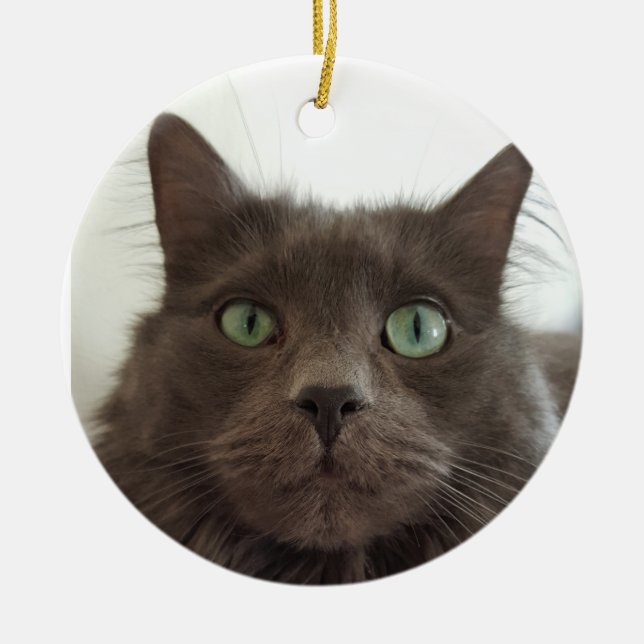 Fluffy Grey cat Ceramic Tree Decoration (Front)