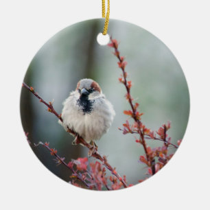 Fluffy Grump Ceramic Tree Decoration