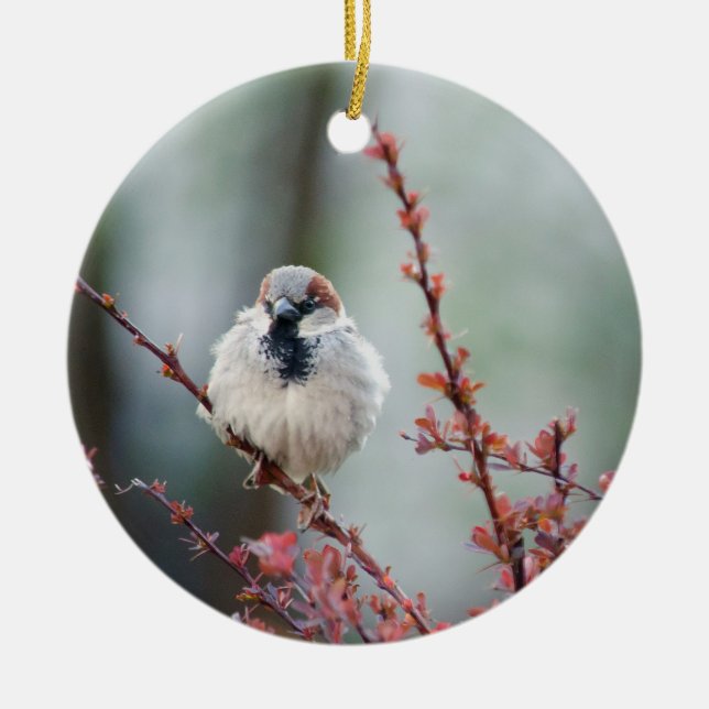 Fluffy Grump Ceramic Tree Decoration (Front)