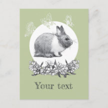 Fluffy hare with butterflies on green background
