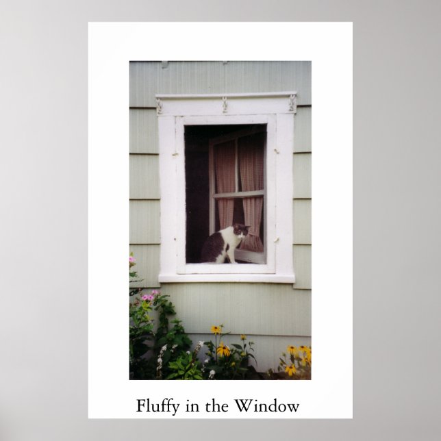 Fluffy in the Window Poster (Front)