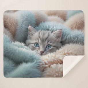 Fluffy Kitten in a Soft Blanket