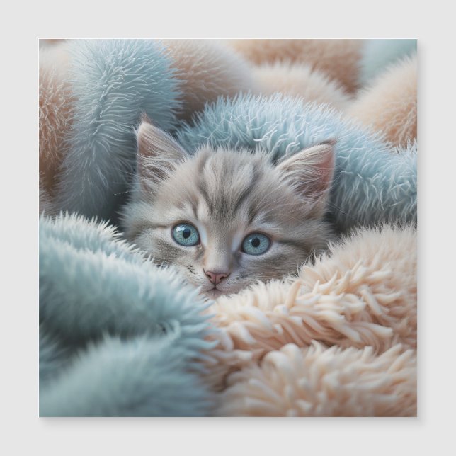 Fluffy Kitten in a Soft Blanket (Front)