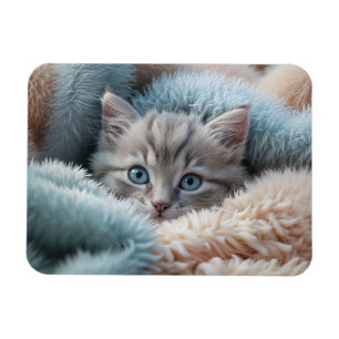 Fluffy Kitten in a Soft Blanket Magnet
