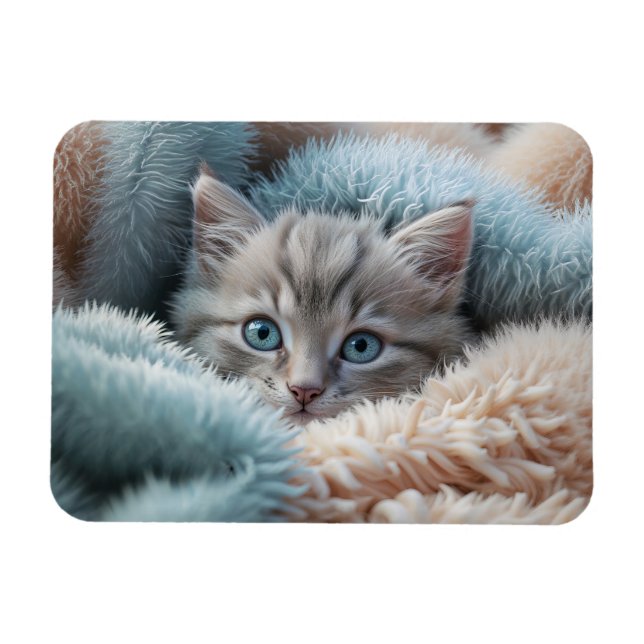 Fluffy Kitten in a Soft Blanket Magnet (Horizontal)