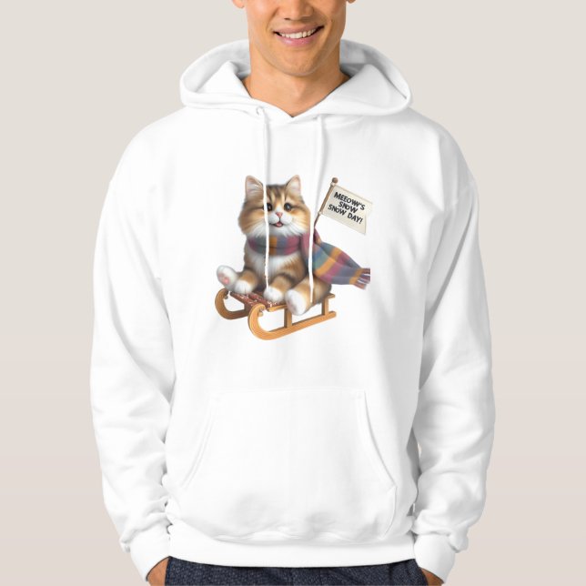 ​Fluffy Kitten Snow Day on Sled, Cute Cat in Scarf Hoodie