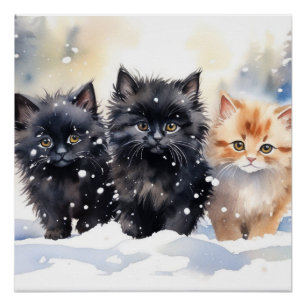 Fluffy Kittens Poster