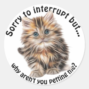 Fluffy Kitty Funny Pet Me Quote Classic Round Sticker
