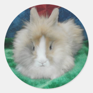 Fluffy Lionhead Bunny Rabbit Classic Round Sticker