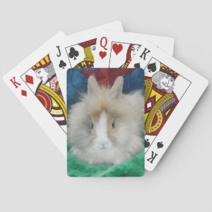 Fluffy Lionhead Bunny Rabbit Playing Cards