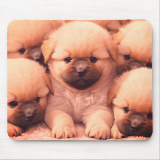 Fluffy Litter of Puppies on Laptop Desktop Tablet Mouse Mat