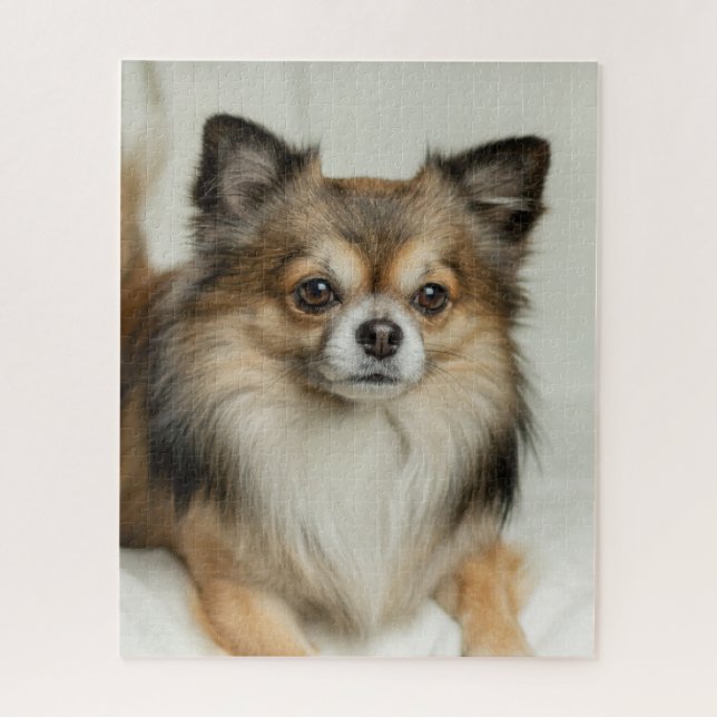 Fluffy Long Haired Chihuahua Puppy Dog Jigsaw Puzzle (Vertical)