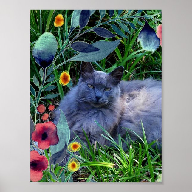 Fluffy Long Haired Russian Blue Cat Poster (Front)