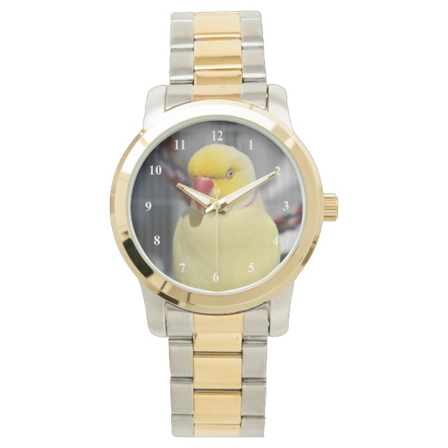 Fluffy Lutino Indian Ringneck Parakeet Watch (Front)