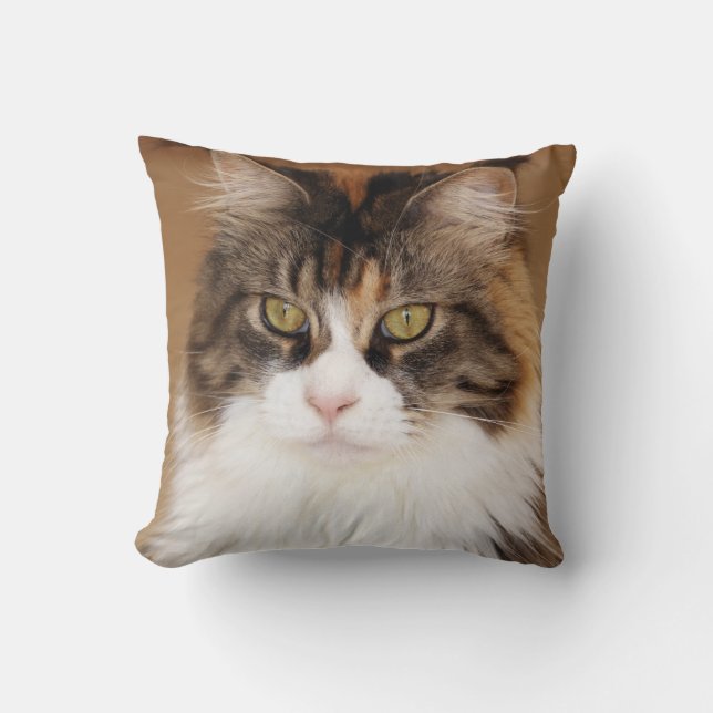 Fluffy Maine Coon Cat Cushion (Front)