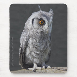 Fluffy Owlet Mousemat