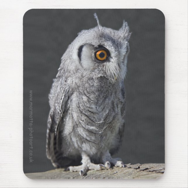 Fluffy Owlet Mousemat (Front)