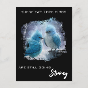 *~* Fluffy PHOTO  Love Birds AP54 Anniversary Postcard