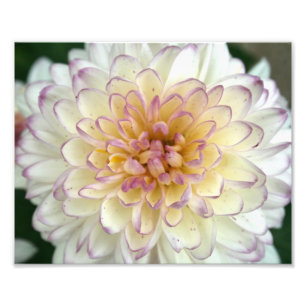 fluffy photo print
