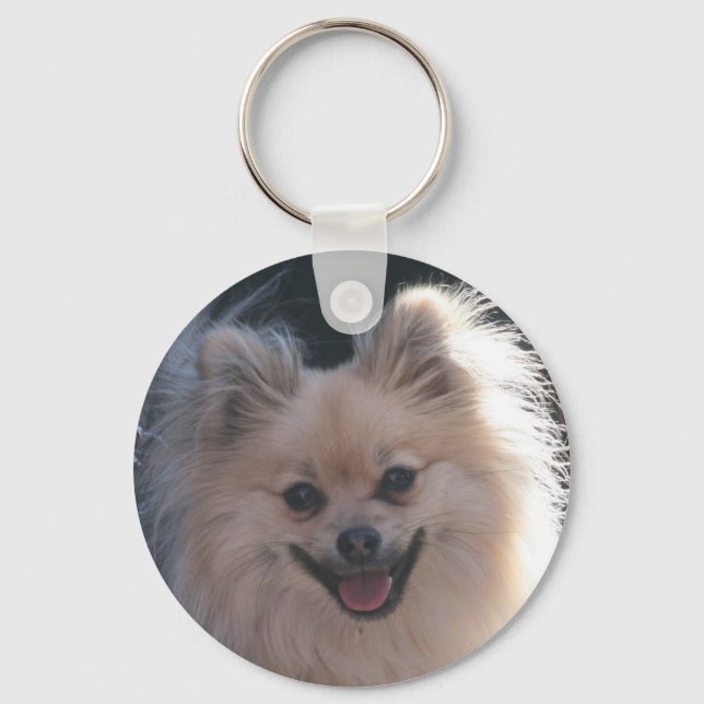 fluffy pomeranian dog key ring (Front)