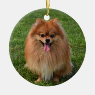 Fluffy Pomeranian Puppy Dog Ceramic Tree Decoration