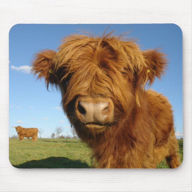 Fluffy Scottish Highland Cow - Blue Sky Mouse Mat (Front)