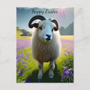 Fluffy Sheep field of purple flowers -Easter Postcard