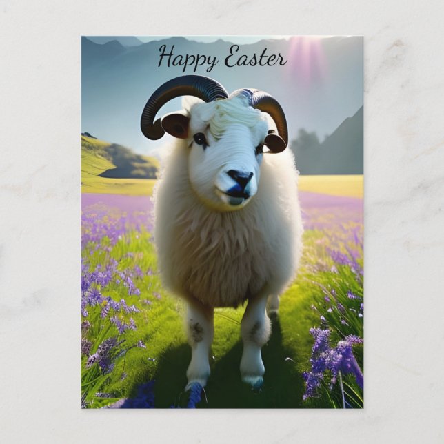 Fluffy Sheep field of purple flowers -Easter Postcard (Front)