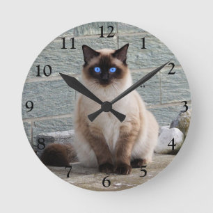 Fluffy Siamese Cat with Blue Eyes Round Clock