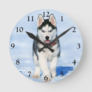 Fluffy Siberian Husky Puppy in the Snow Round Clock